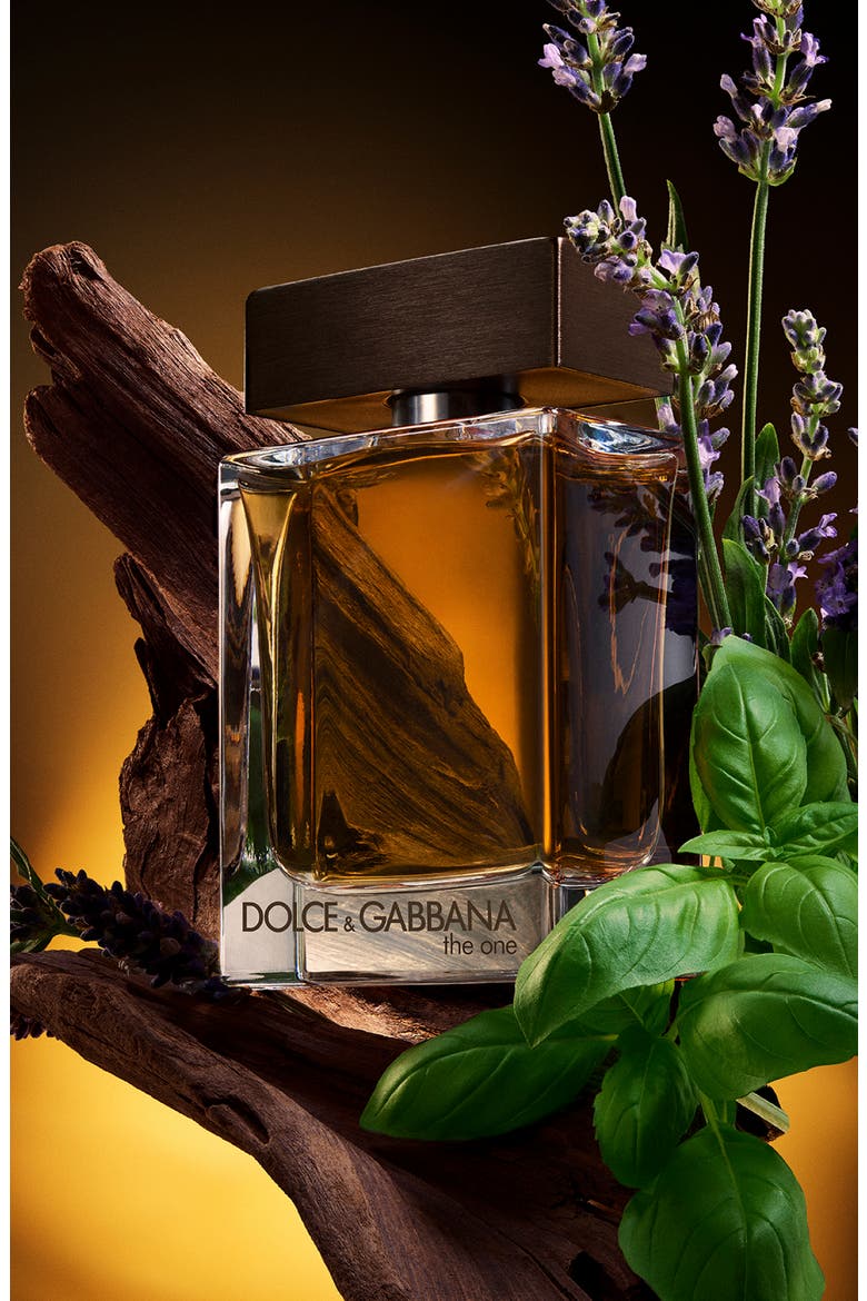The One Eau de Toilette, Alternate, color, NO COLOR