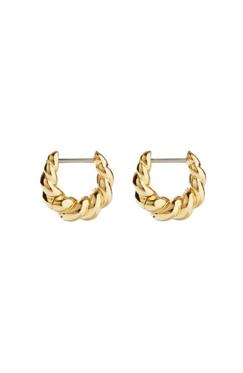 Twisted Hoop Earrings - Paris Mini