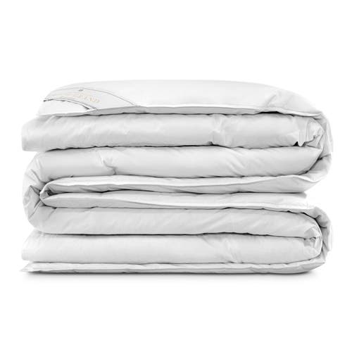 Togas Royal Grand Goose Down Comforter In Multi