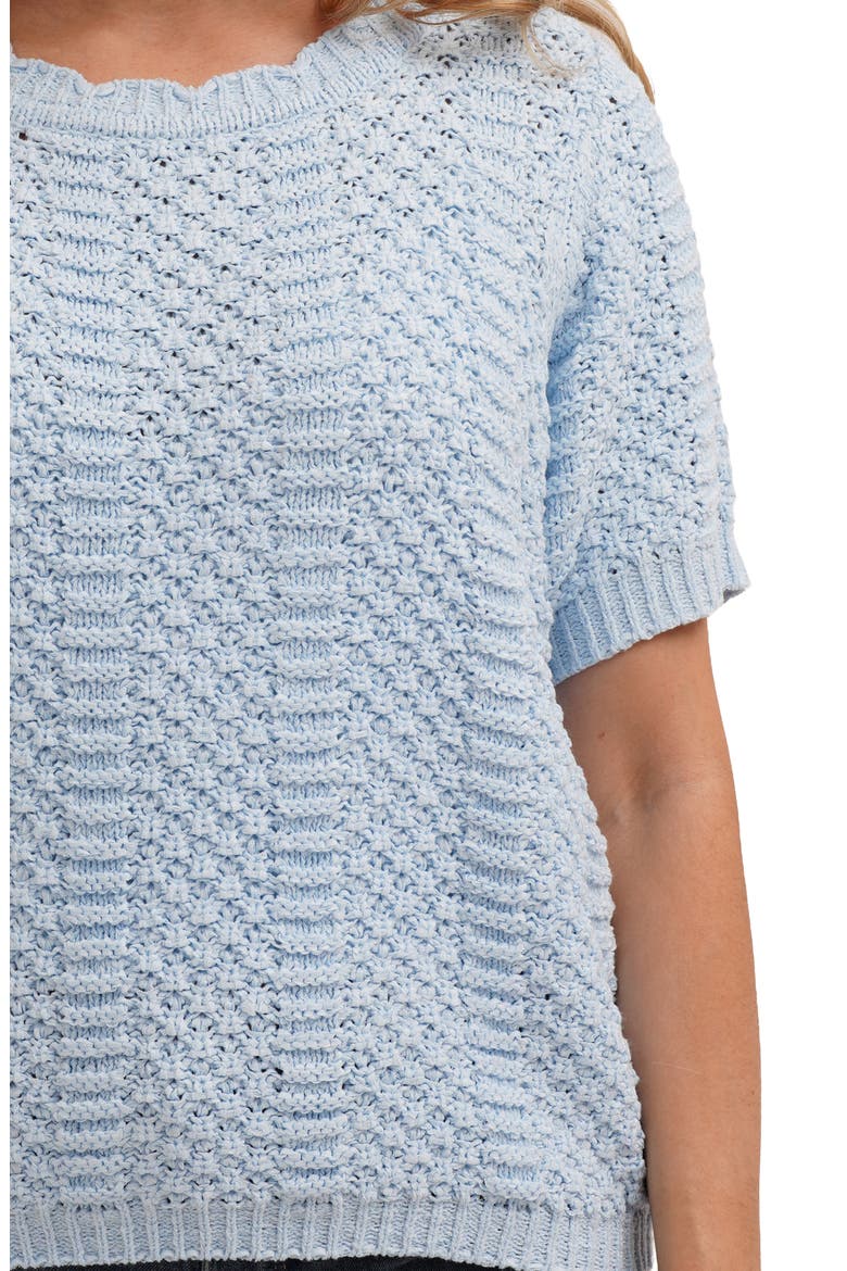 Short Sleeve Textured Crewneck Sweater, Alternate, color, ICE SKY