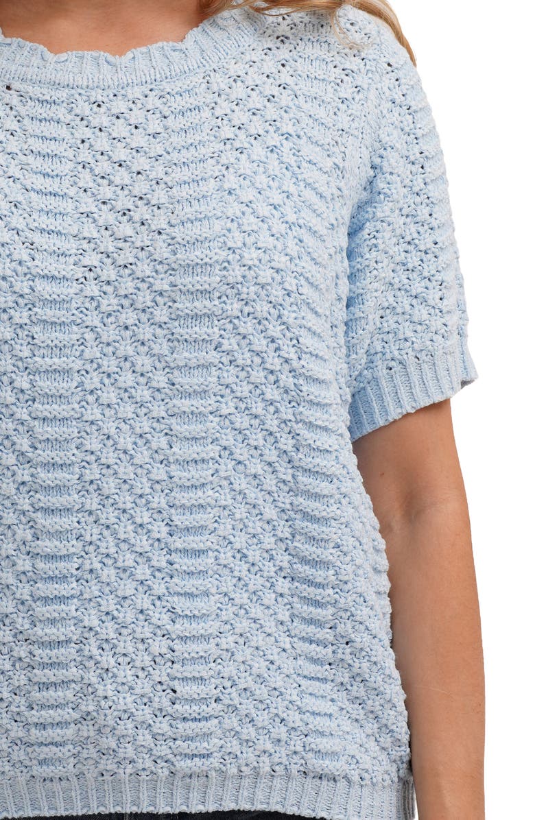 CYRUS Short Sleeve Textured Crewneck Sweater, Alternate, color, Ice Sky
