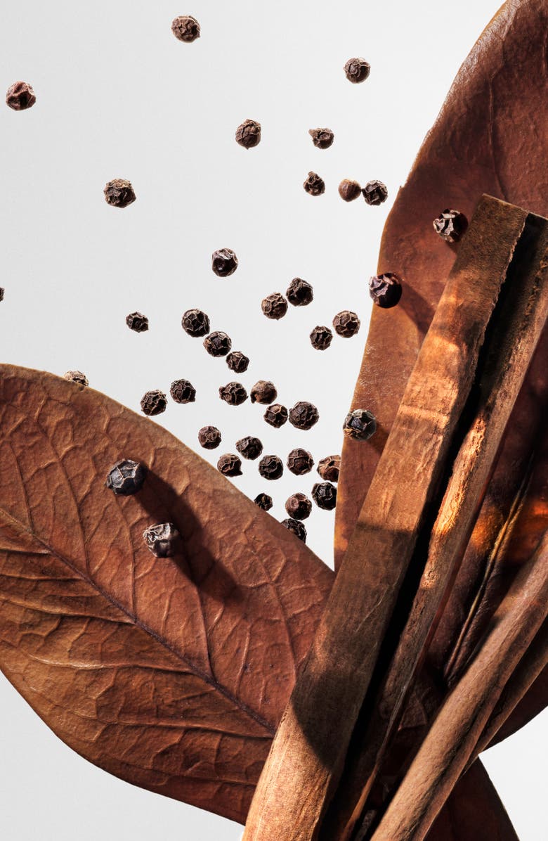 Viktor&Rolf Spicebomb Eau de Toilette Set USD $184 Value, Alternate, color, 