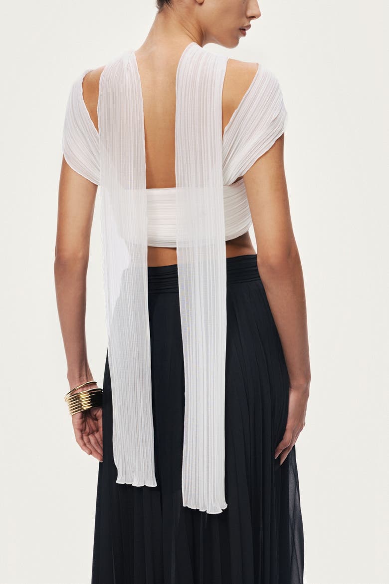 Pleated Chiffon Wide-Leg Pants, Alternate, color, Black