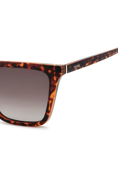 Fossil 56mm Square Sunglasses In Brown