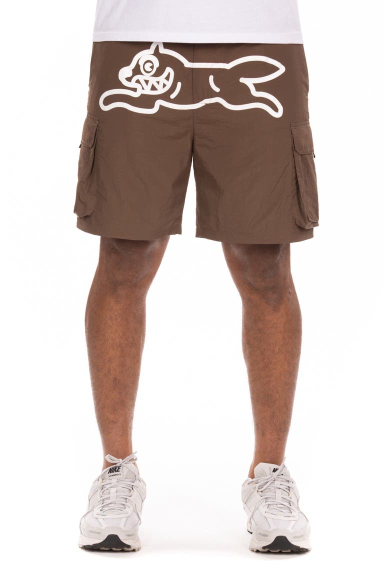 Breeze Cargo Shorts, Main, color, CHESTNUT