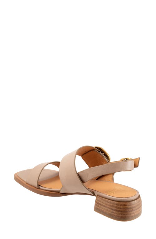 Eos Footwear Tegan Block Heel Sandal In Taupe