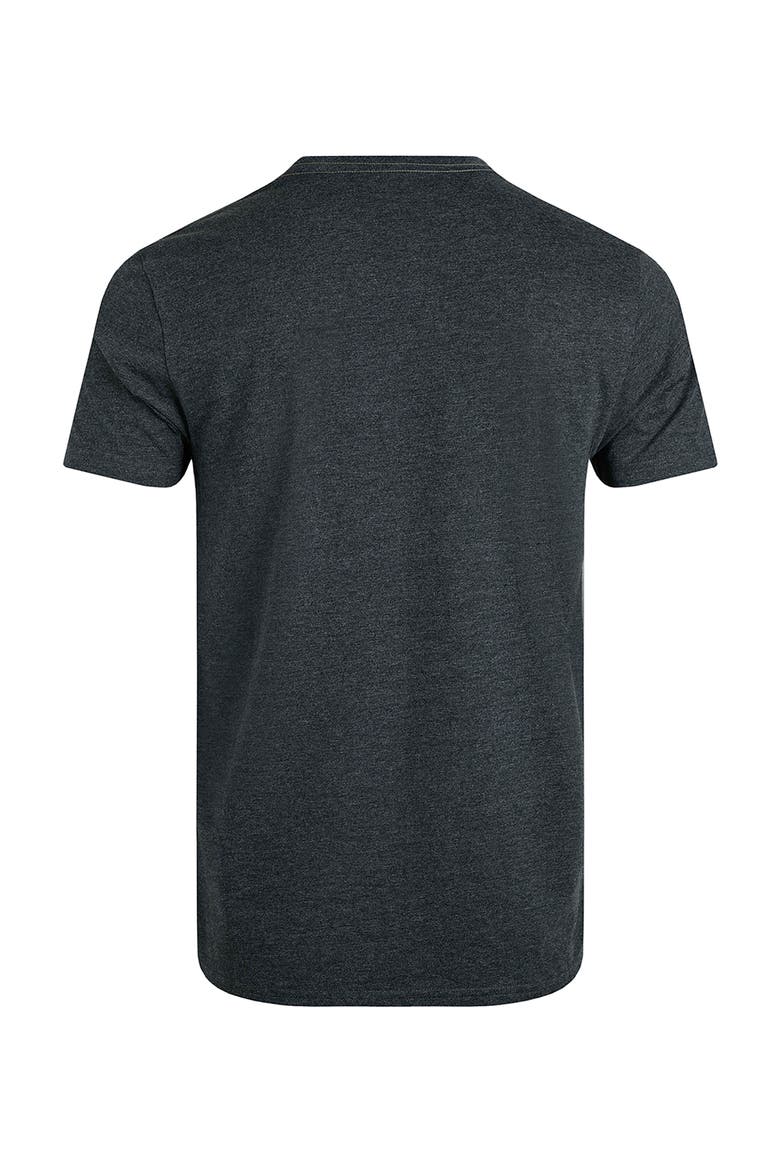 Summer Sector Graphic T-Shirt, Alternate, color, Washed Black
