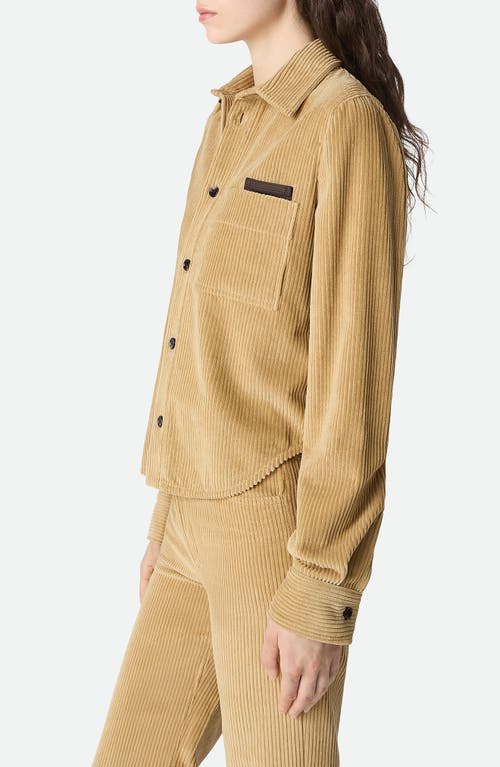 Bottega Veneta Womens Pale Oak Corduroy Curved-hem Cotton Shirt In Brown