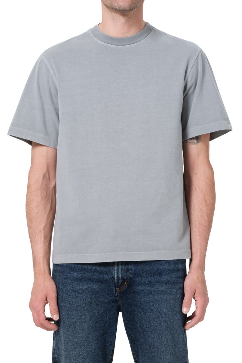 Asha Crewneck T-Shirt, Main, color, REFLECT