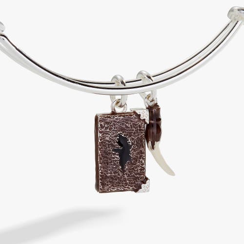 Alex And Ani Harry Potter Diary And Basilisk Fang Bangle Bracelet In Silver