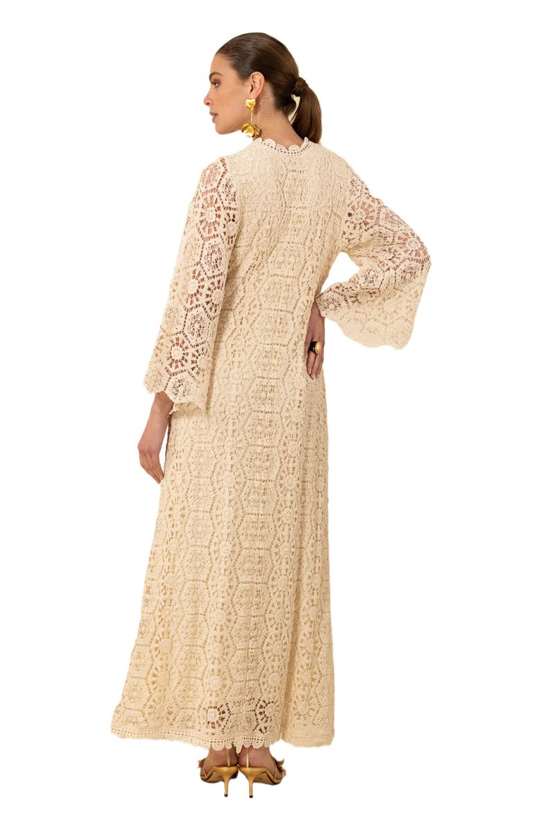 Hale Bob Amirah Crochet Maxi Dress, Alternate, color, 