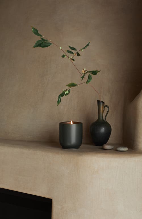 Homecourt Balsam Fireplace Scented Candle In Multi