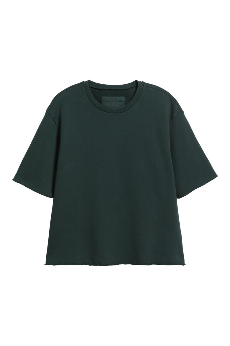 Perry Cotton Fleece Tee, Alternate, color, PINE