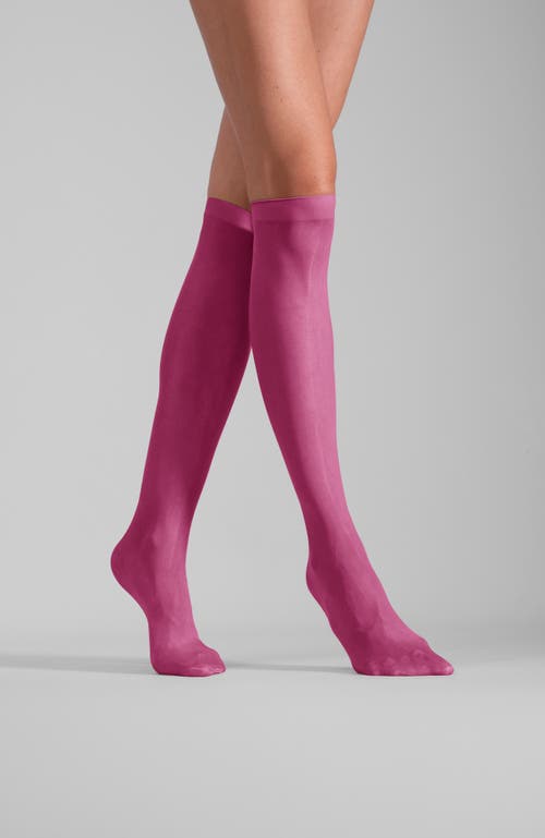 Lechery Shiny Sheer Knee-high Sock Set In Pink, Women's At Urban Outfitters In Pink