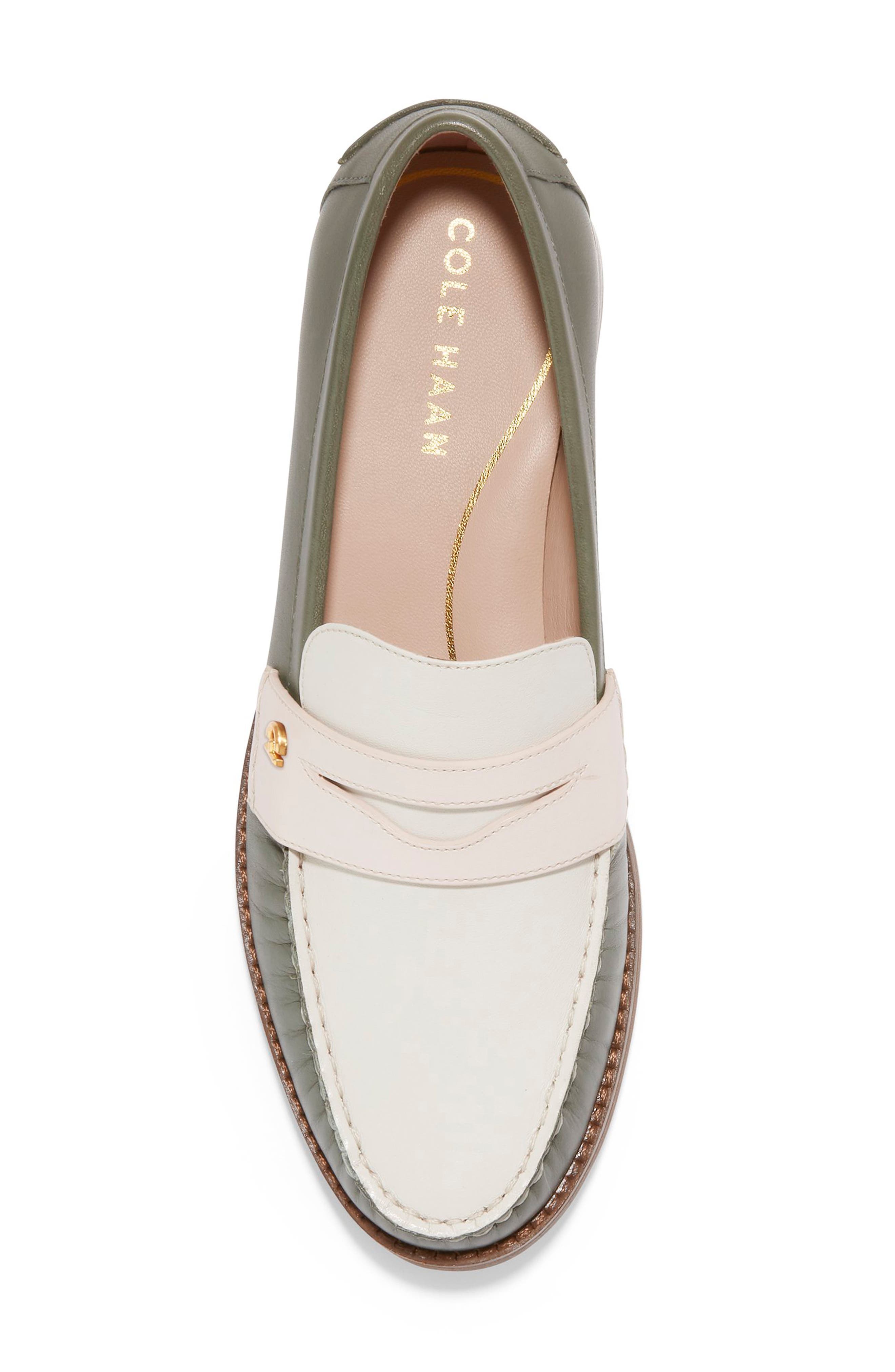 Lux Pinch Penny Loafer, Alternate, color, TEA LEAF LEATHER