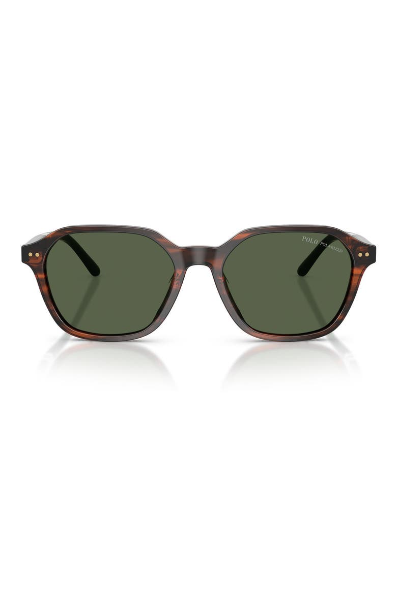 54mm Polarized Irregular Sunglasses, Main, color, SHINY HAVANA / POLAR GREEN