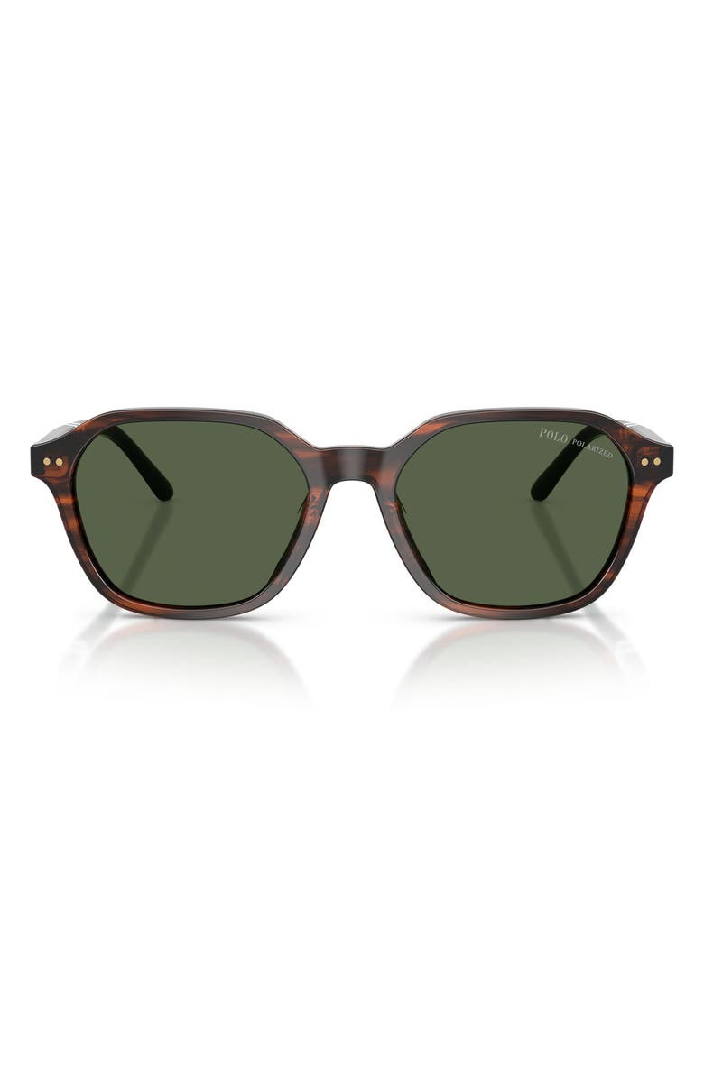 Polo Ralph Lauren 54mm Polarized Irregular Sunglasses, Main, color, Shiny Havana / Polar Green