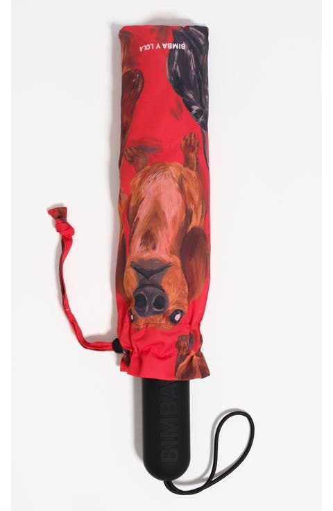 Dachshund umbrella
