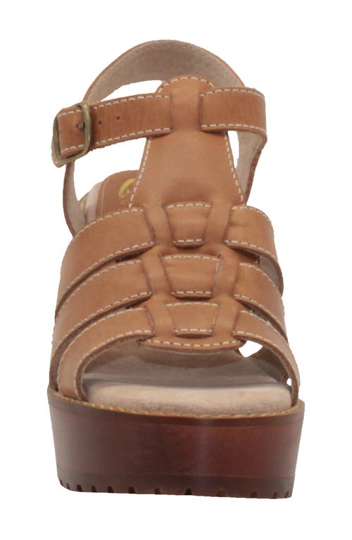 Sbicca Oakdale Clog Sandal In Brown