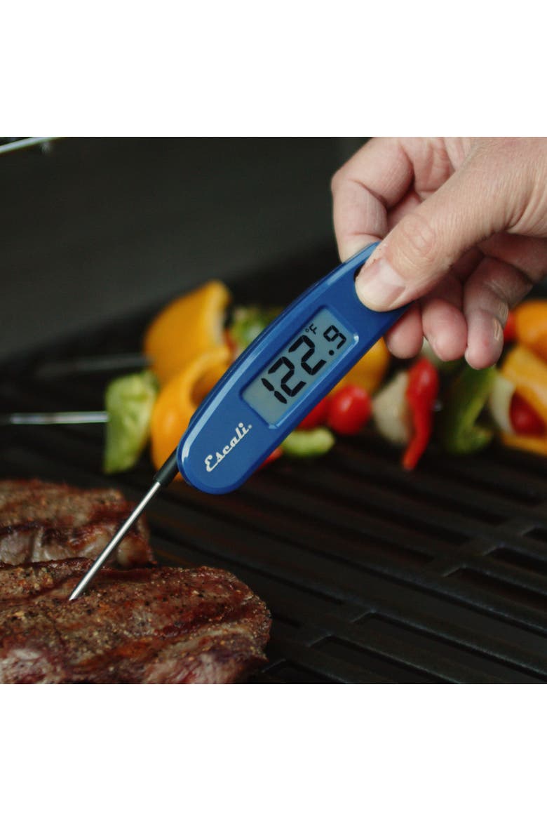 Compact Folding Digital Thermometer, Alternate, color, Blue