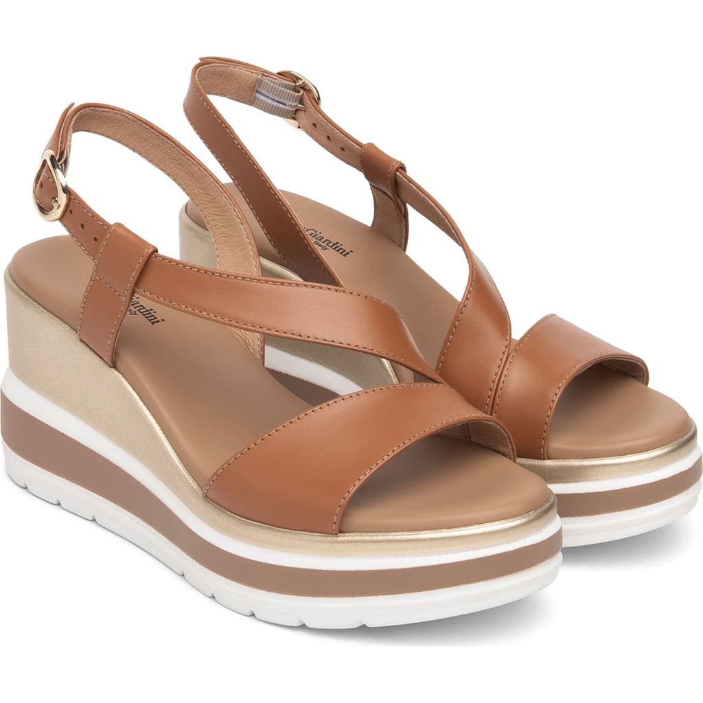 Nerogiardini Leather Wedge Slingback Sandals In Brown
