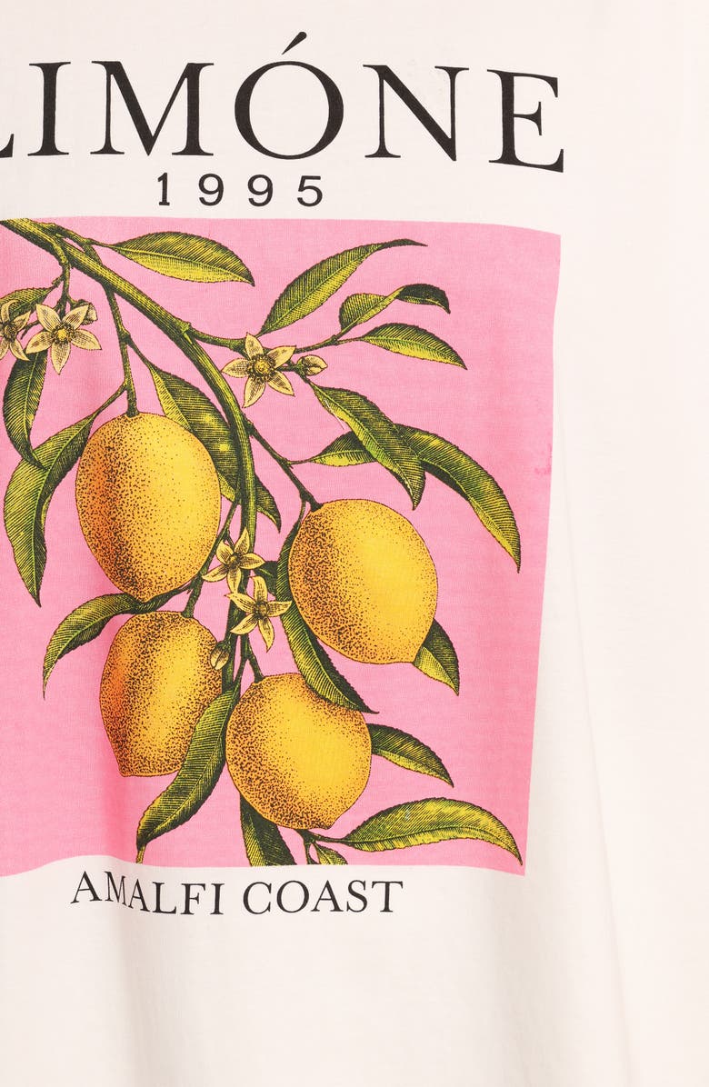 Petal & Pup Gigi Oversize Cotton Graphic T-Shirt, Alternate, color, 