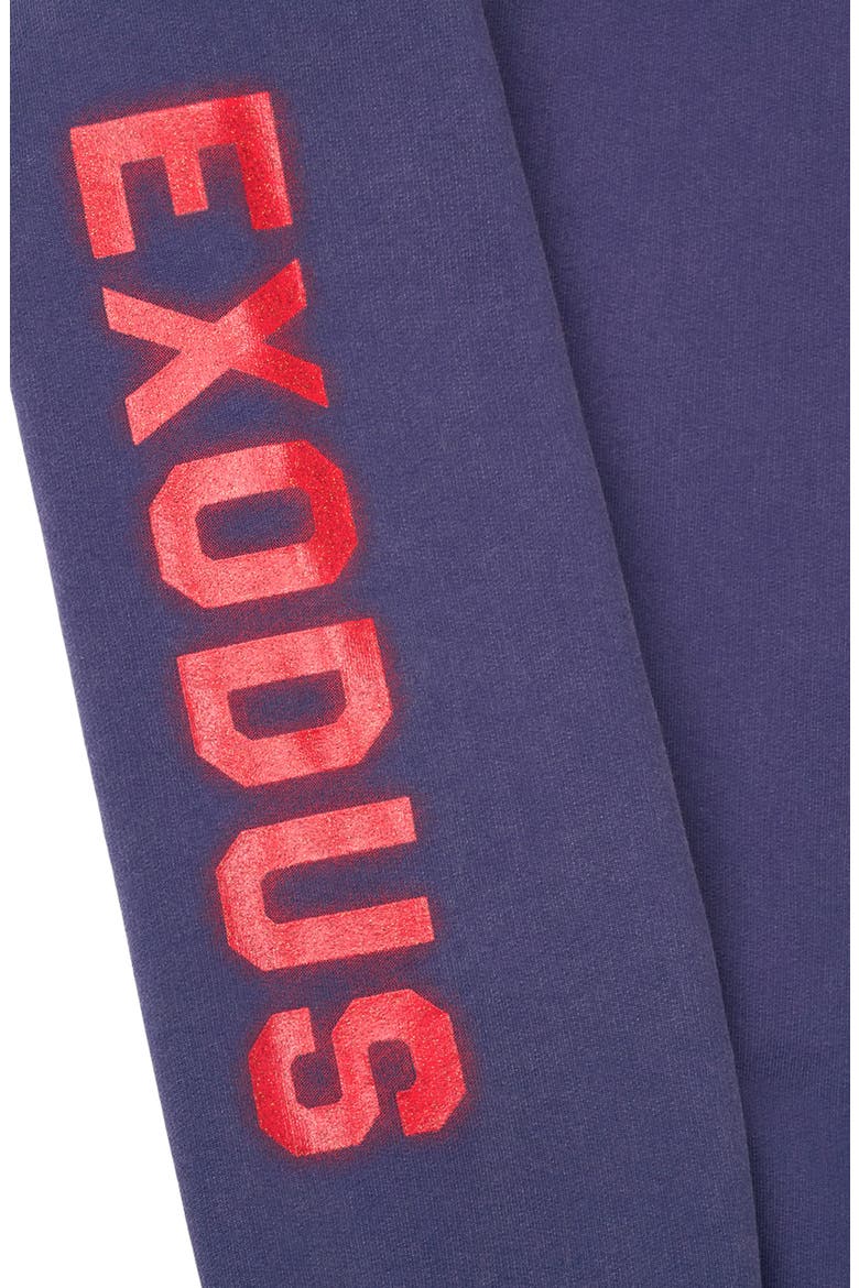 Dion Exodus Graphic Hoodie, Alternate, color, PATRIOT EXODUS