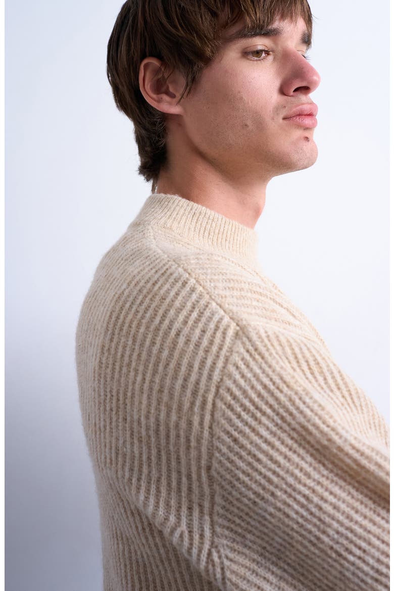 Rib Mock Neck Sweater, Alternate, color, BROWN