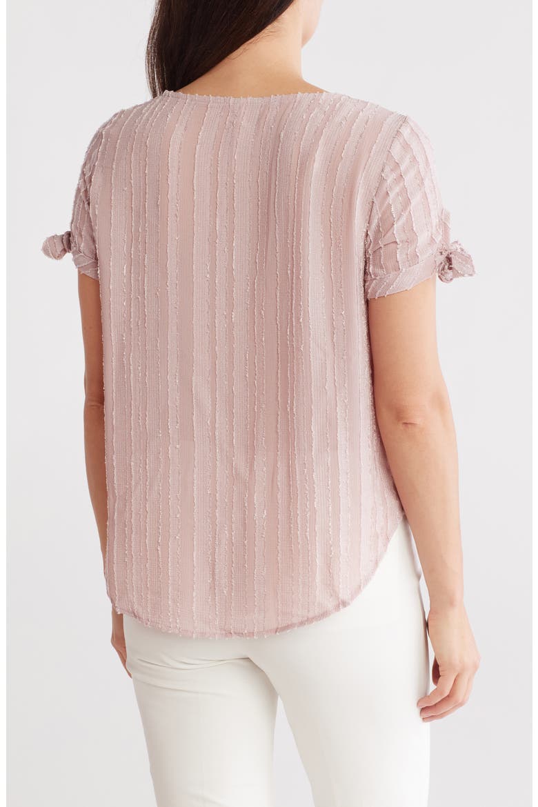 Semisheer Stripe Short Sleeve Top, Alternate, color, BLUSH