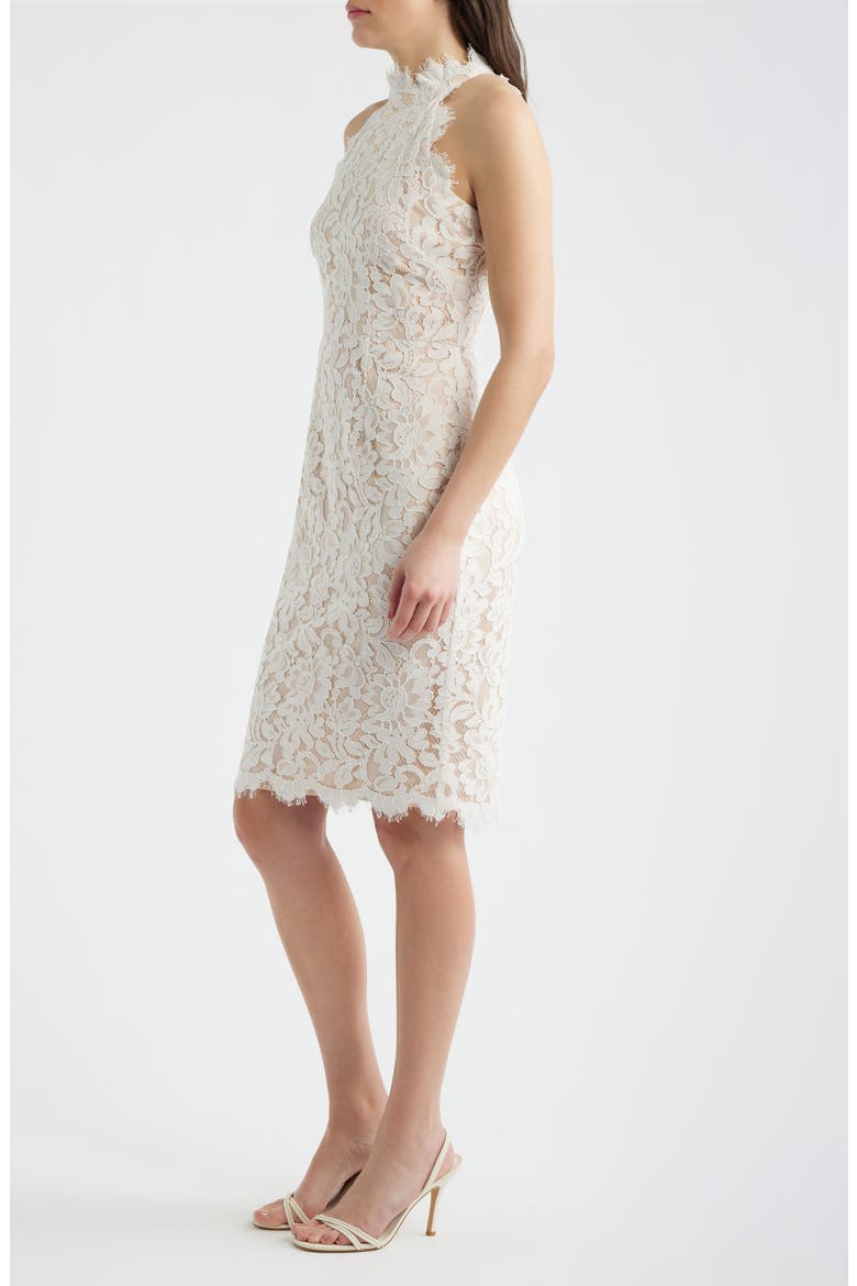 Floral Lace Sheath Dress, Alternate, color, IVORY BEIG