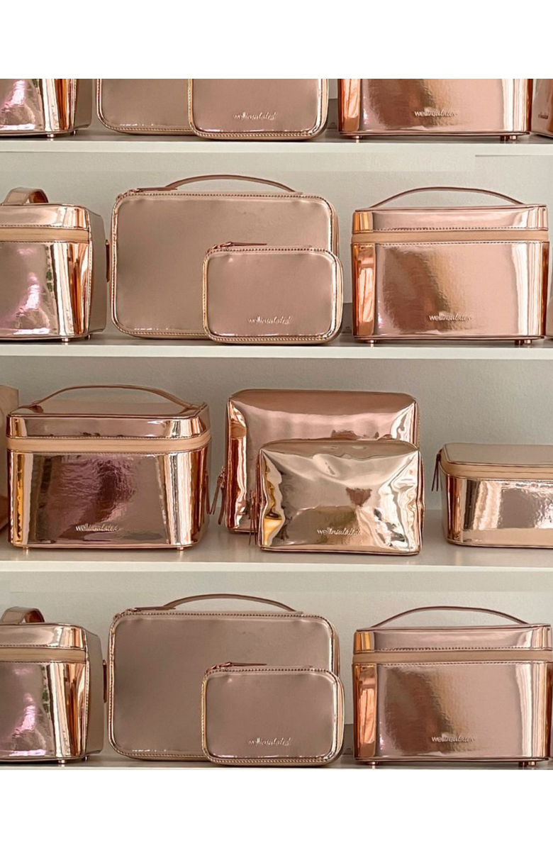 WELLinsulated Performance Beauty Case, Alternate, color, 