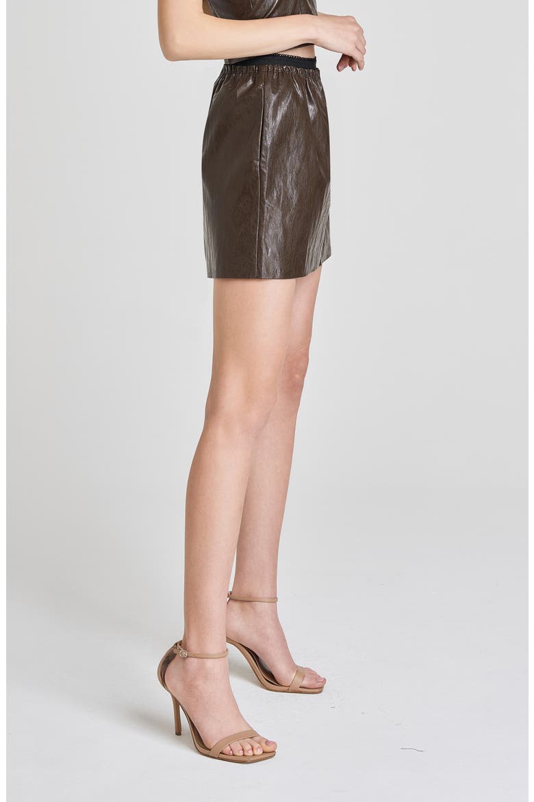 Estella Faux Leather Miniskirt, Alternate, color, CHOCOLATE