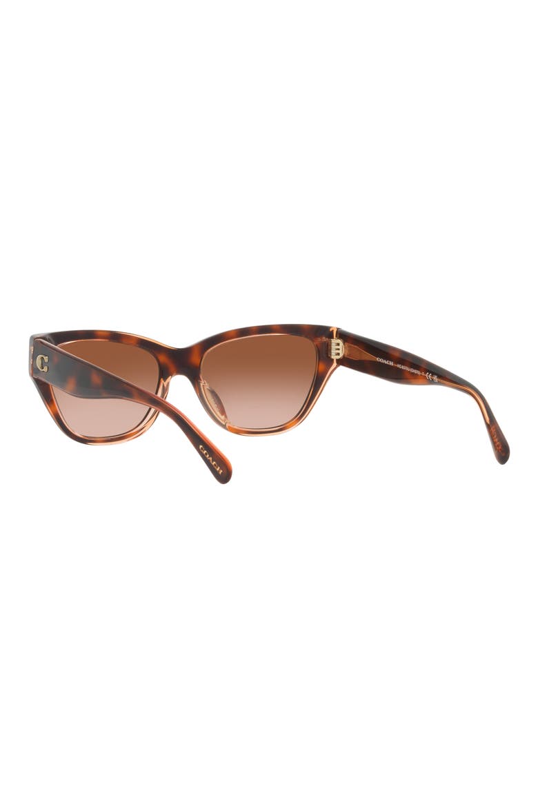 54mm Gradient Cat Eye Sunglasses, Alternate, color, TORTOISE