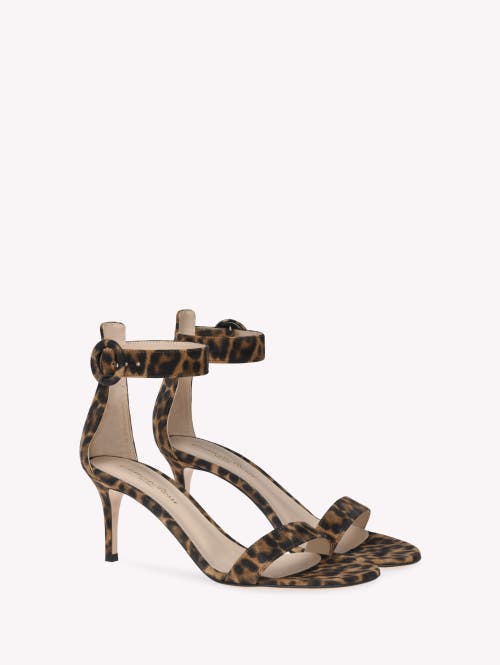 Gianvito Rossi 70mm Leopard-print Sandals In Brown