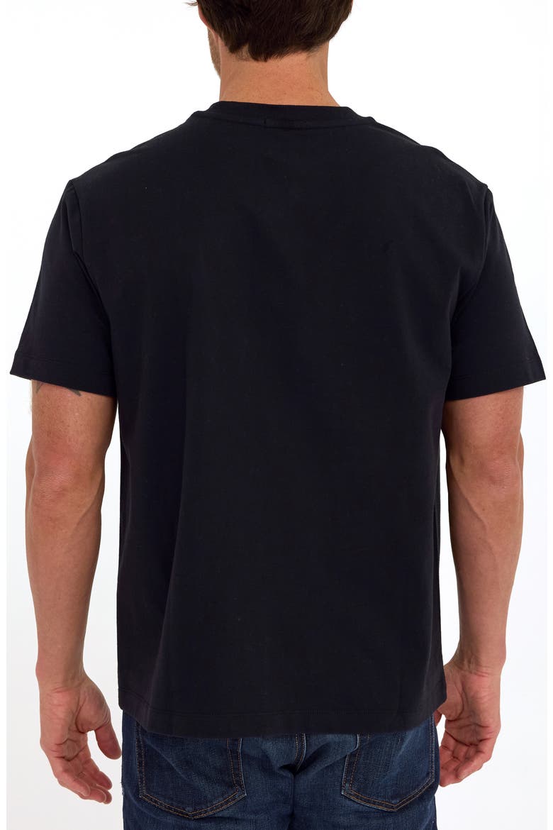 Roger Relaxed Fit V-Neck Cotton Jersey T-Shirt, Alternate, color, BLACK