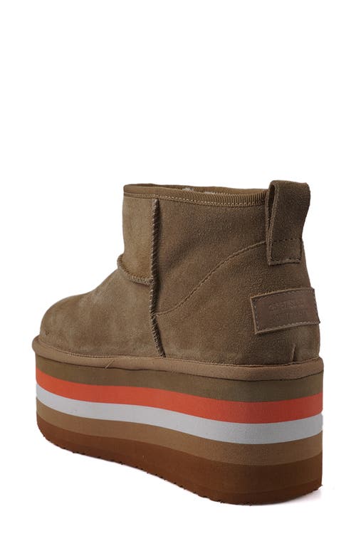 Zigi Bliss Faux Shearling Platform Bootie In White/cocoa