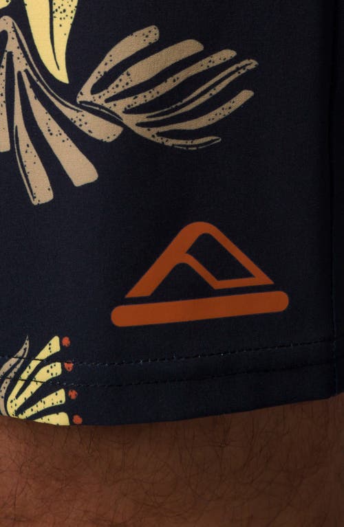 Reef Compass Board Shorts