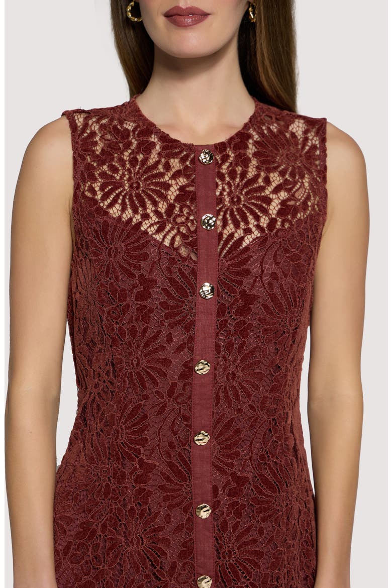 Merlot Whisper Floral Lace Minidress, Alternate, color, CHESTNUT