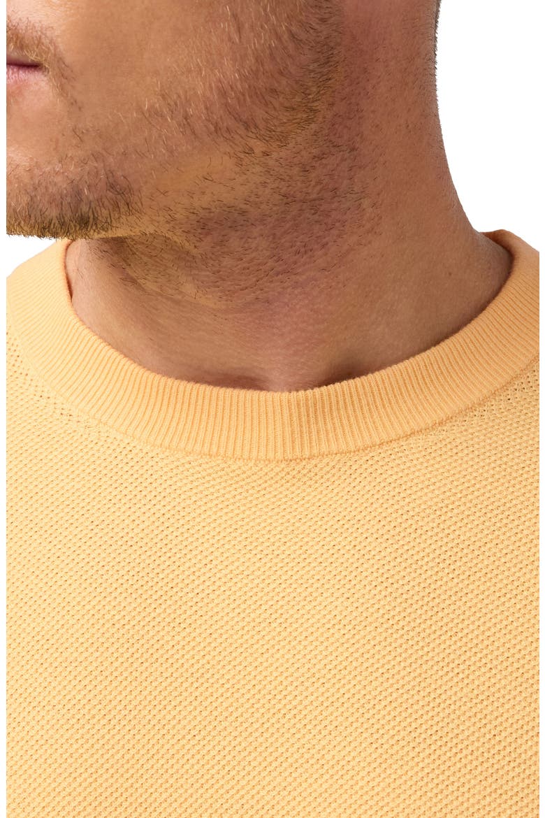 Ashe Crewneck Cotton Blend Sweater, Alternate, color, CORNSILK