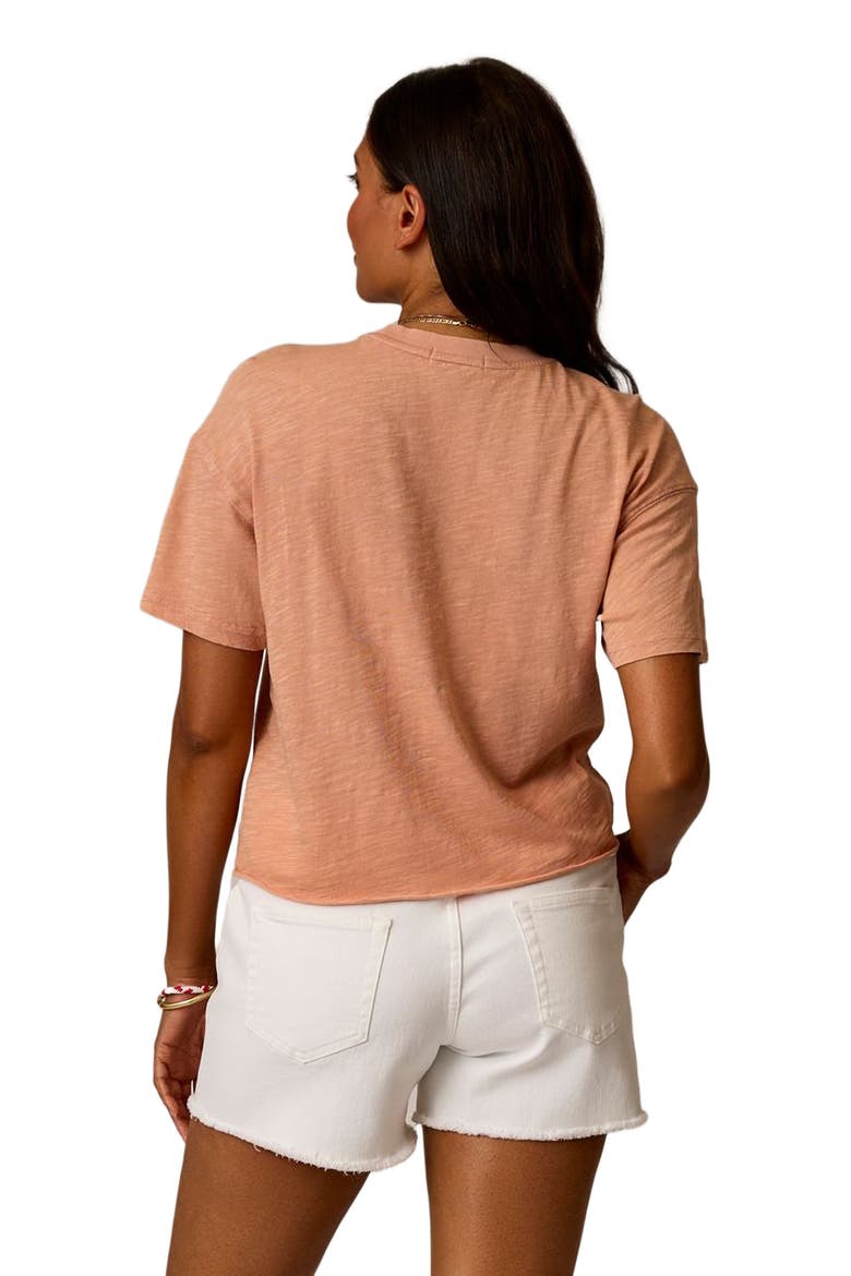 Parker Graphic Tee, Alternate, color, Crema Celestial