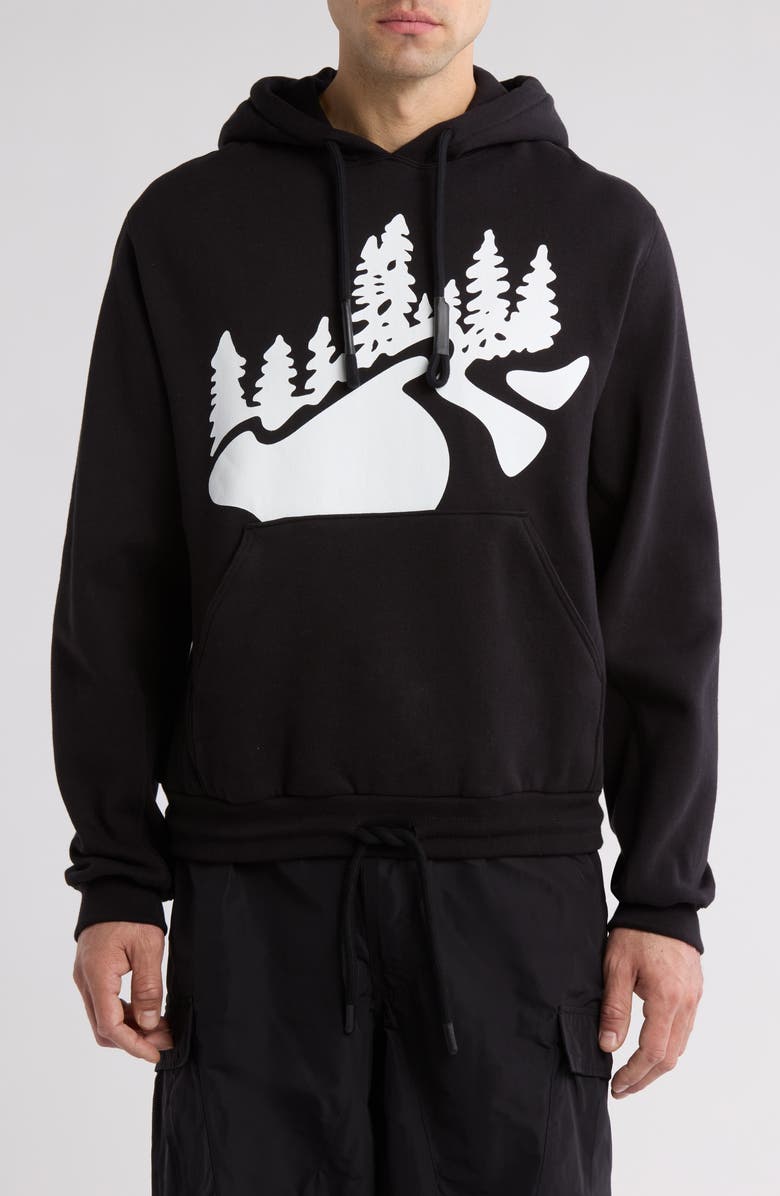 RC Outdoor Supply Mountain Trail Cotton Graphic Hoodie, Main, color, 