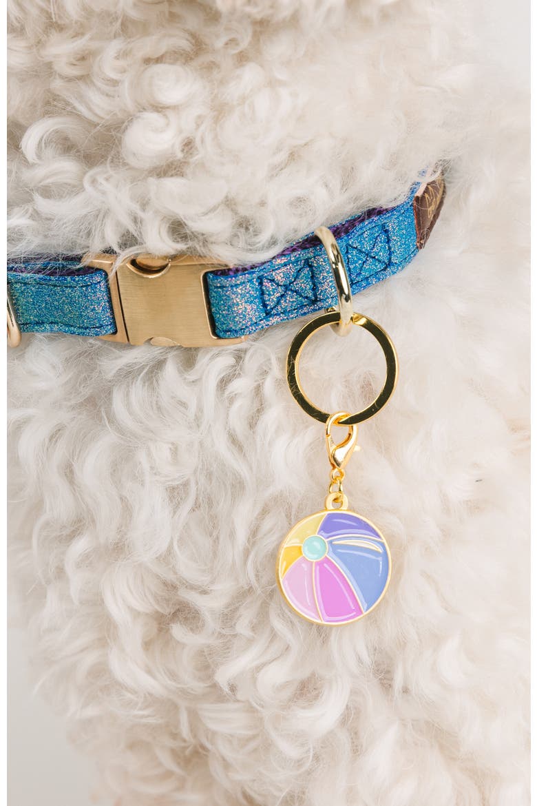 Beach Ball Pet Collar Charm, Alternate, color, Beach Ball