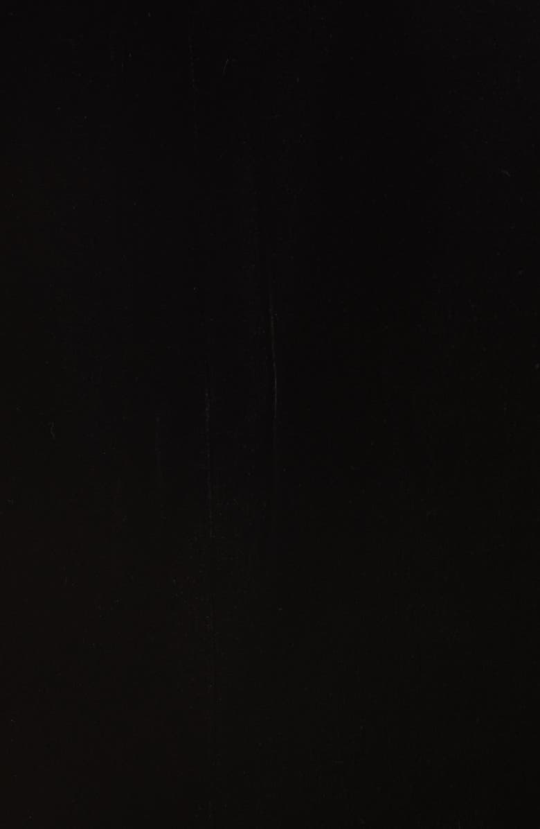 L'AGENCE Velvet Blazer, Alternate, color,