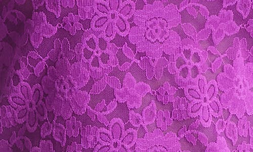 Hanky Panky Daily Lace Sheer Camisole In Purple