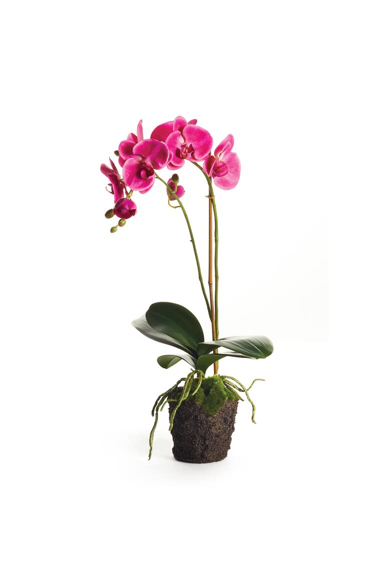 Phalaenopsis Drop-In 23", Main, color, pink
