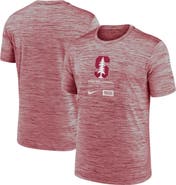 Nike Men's Nike  Cardinal Stanford Cardinal Campus Center Block Velocity Performance T-Shirt