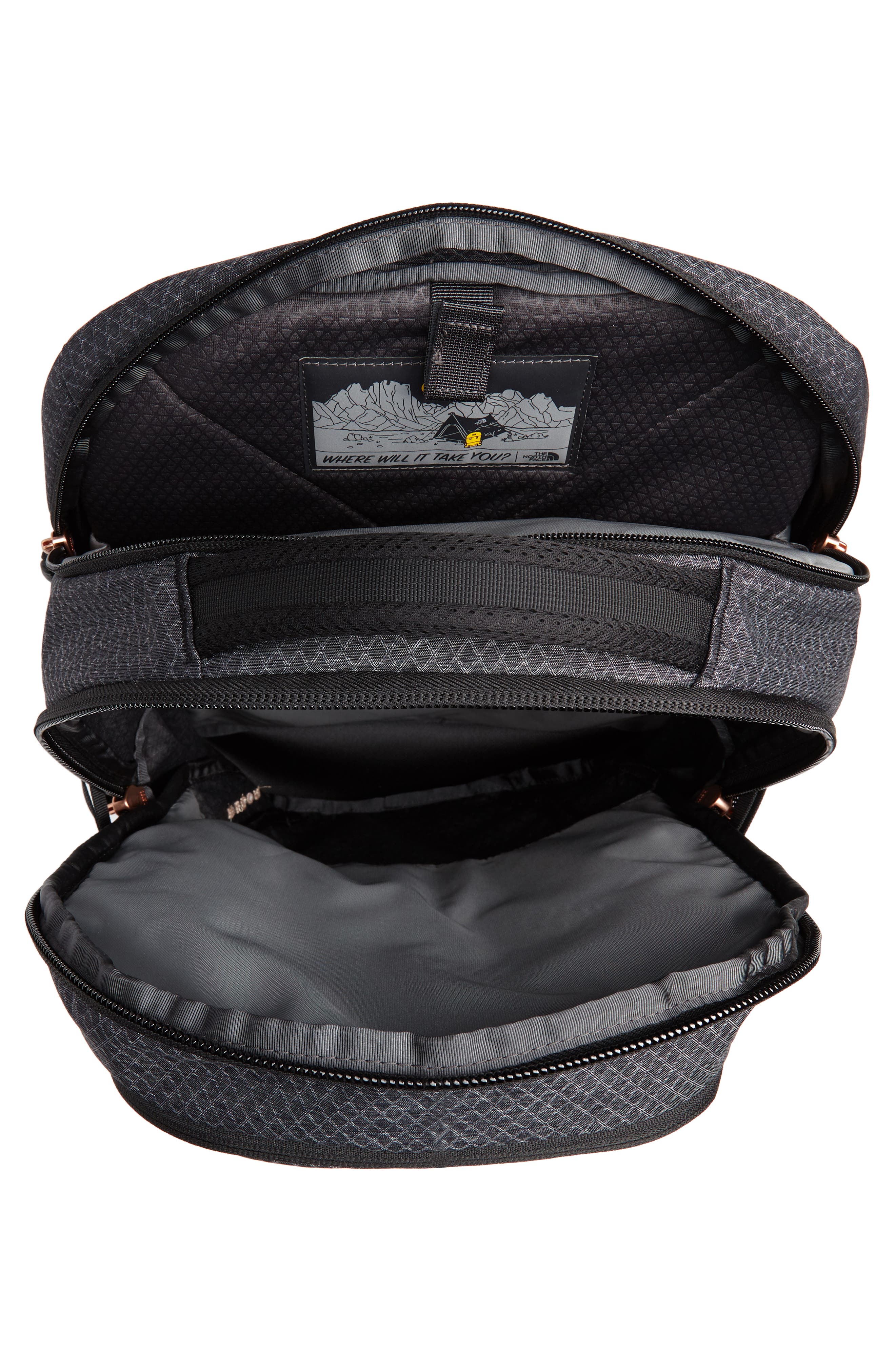 The North Face 'Recon' Backpack, Alternate, color, 