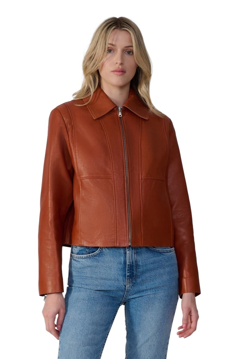 Daisy Leather Jacket, Alternate, color, Whiskey