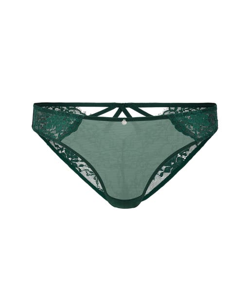 Shop Adore Me Mandi Cheeky Panties In Dark Green