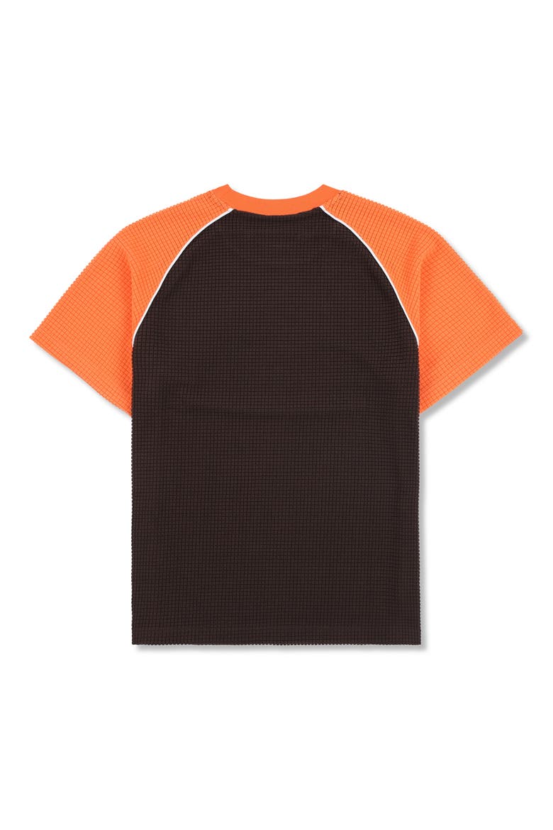 Breed Raglan Cotton Waffle Graphic T-Shirt, Alternate, color, BROWN